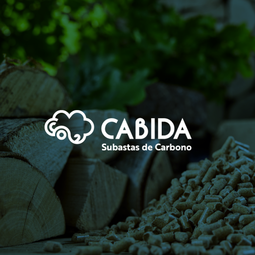 CABIDA